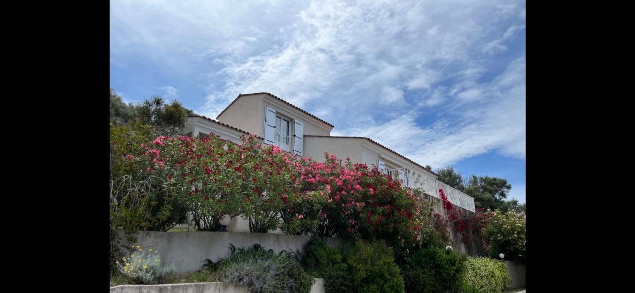 Cargèse Residence Castugna מראה חיצוני תמונה