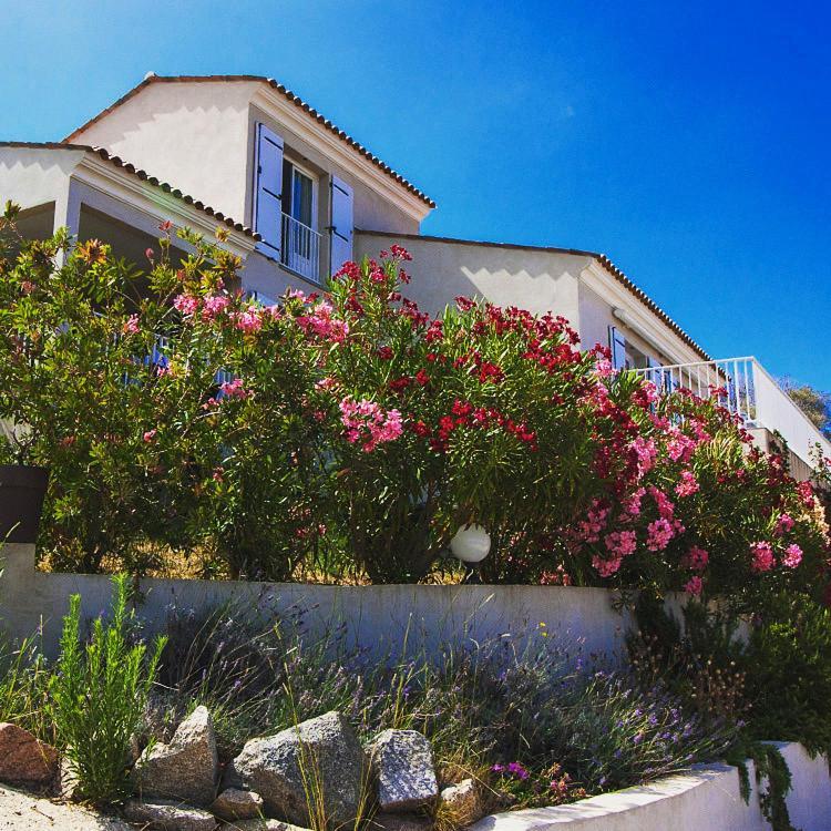 Cargèse Residence Castugna מראה חיצוני תמונה